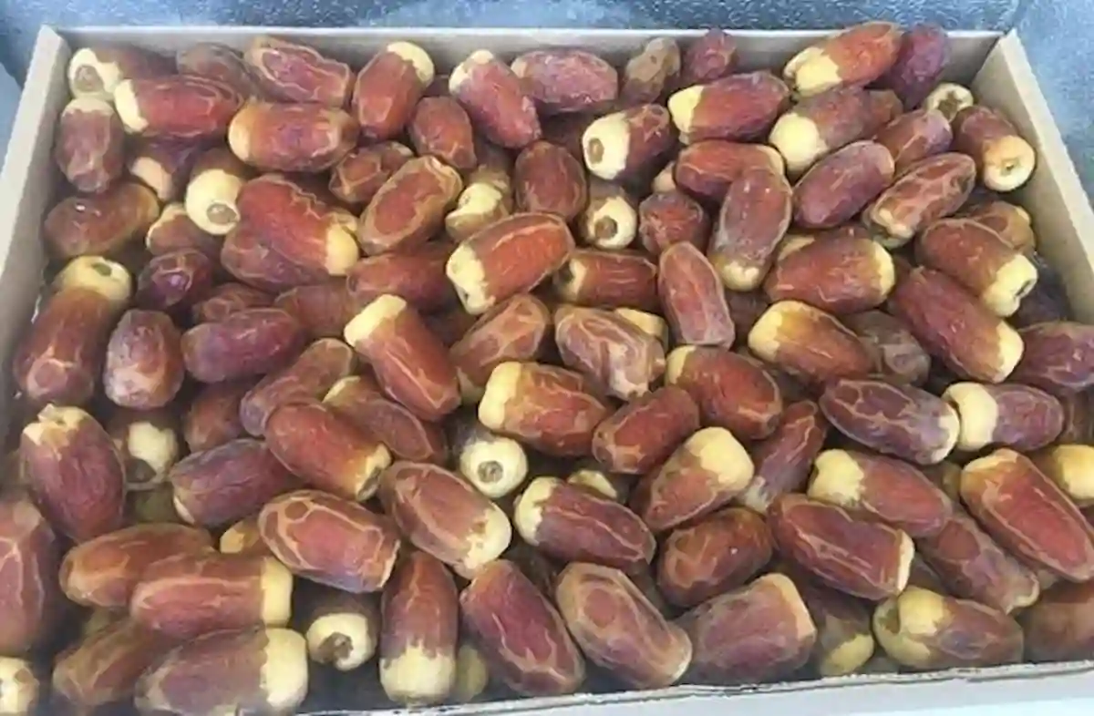 تمور القصيم بسعر قياسي