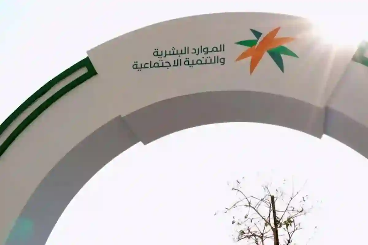  تعرف على بيانات العمالة المطلوبة في ملف مستفيدي الضمان المطور