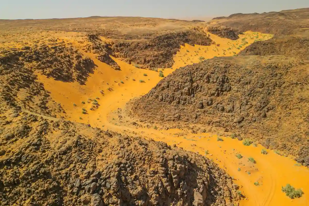 محمية الملك سلمان