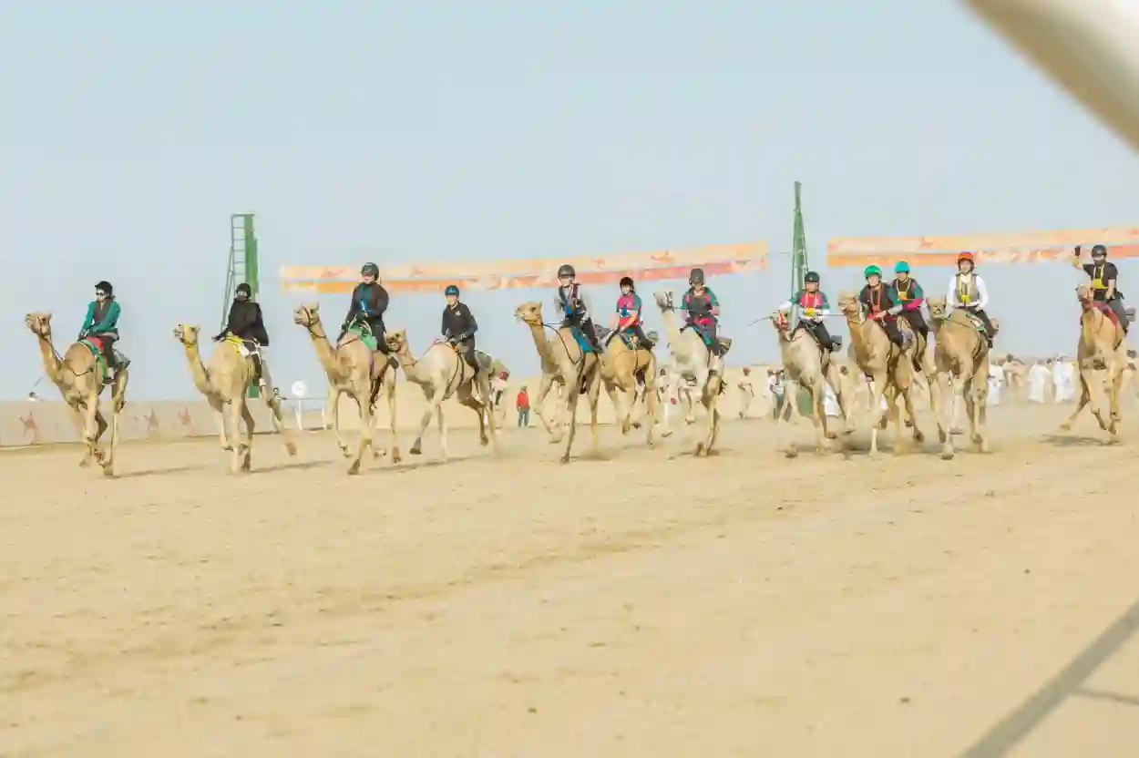 سباق الهجانة للرجال 