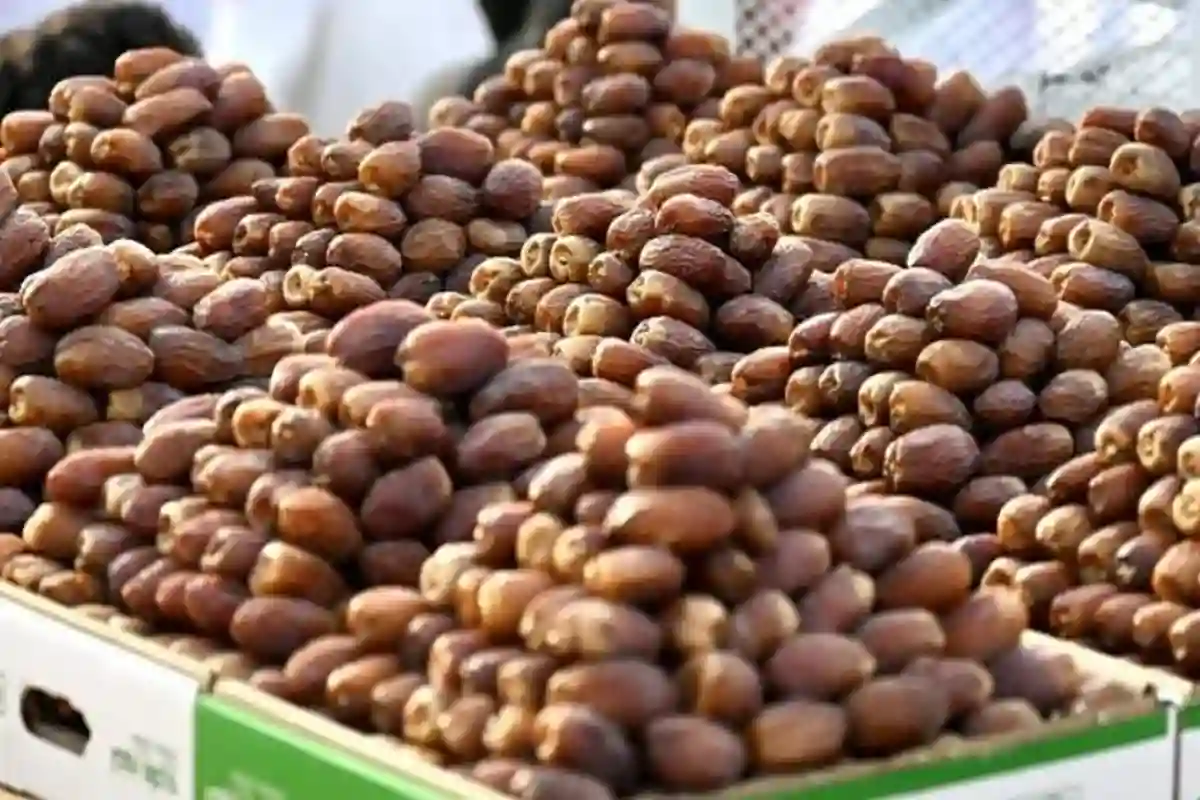 تمور بريدة، كرنفال بريدة، القصيم، السياحة الزراعية، رؤية 2030