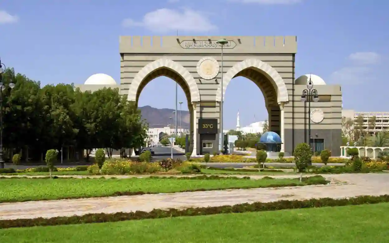 تطوير المهارات الوطنية