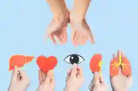 تبرع بالأعضاء
