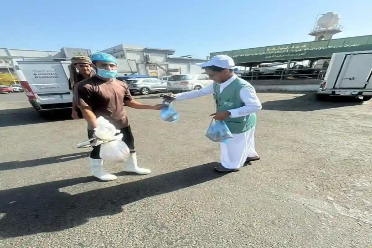 مبادرات بيئية