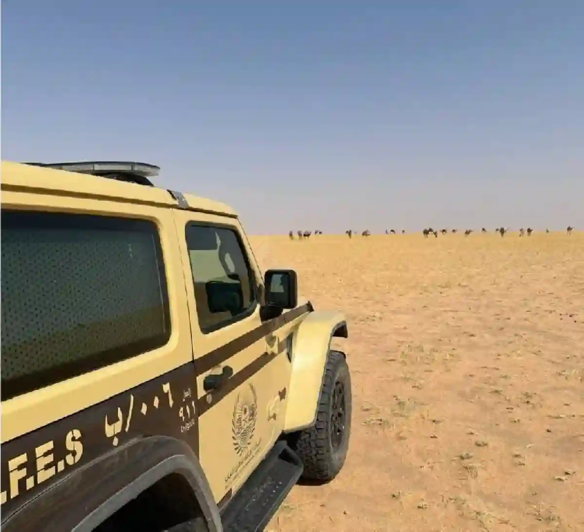  حماية الحياة الفطرية