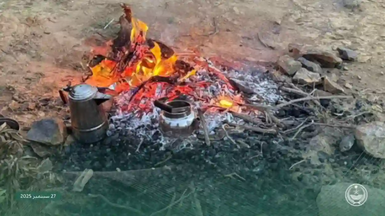 حماية الغطاء النباتي