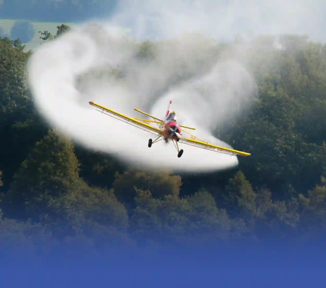 سلامة المواطنين