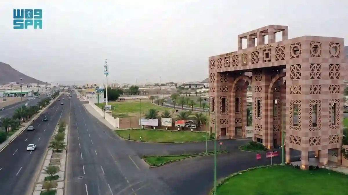 جامعة طيبة