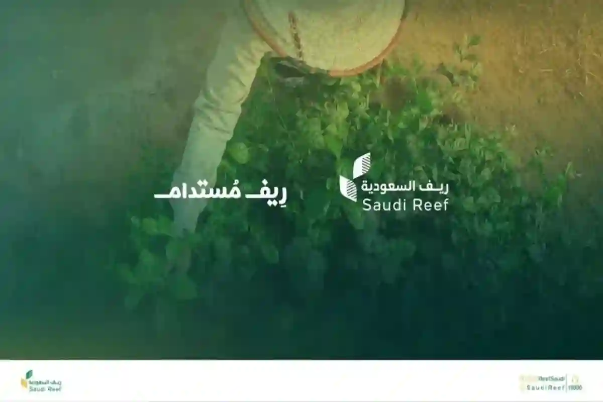 ريف السعودية 