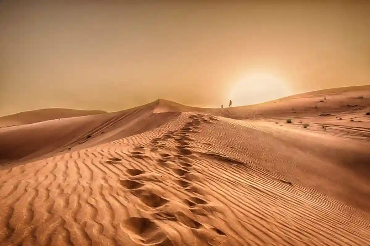 الطقس والمناخ