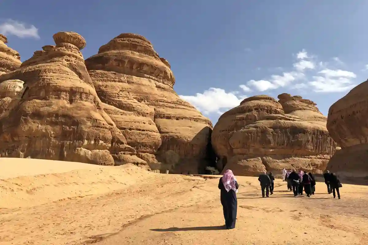 قطاع السياحة