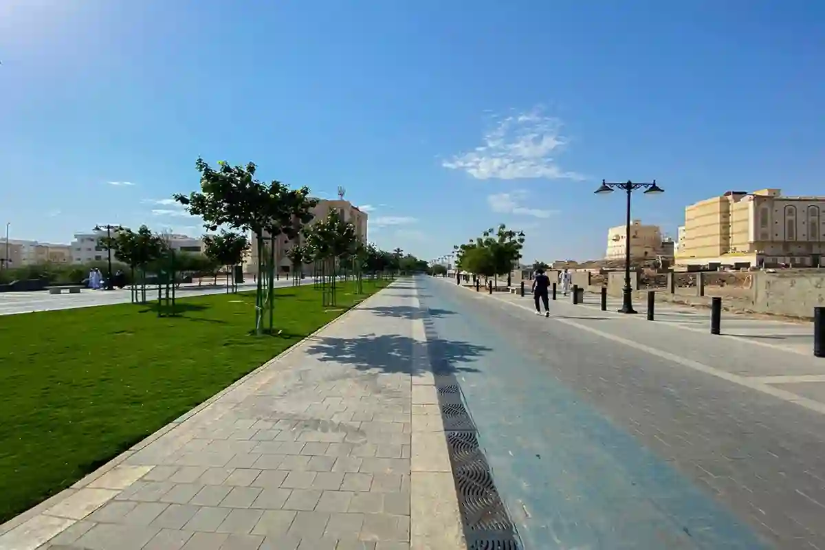 تطوير الرياض