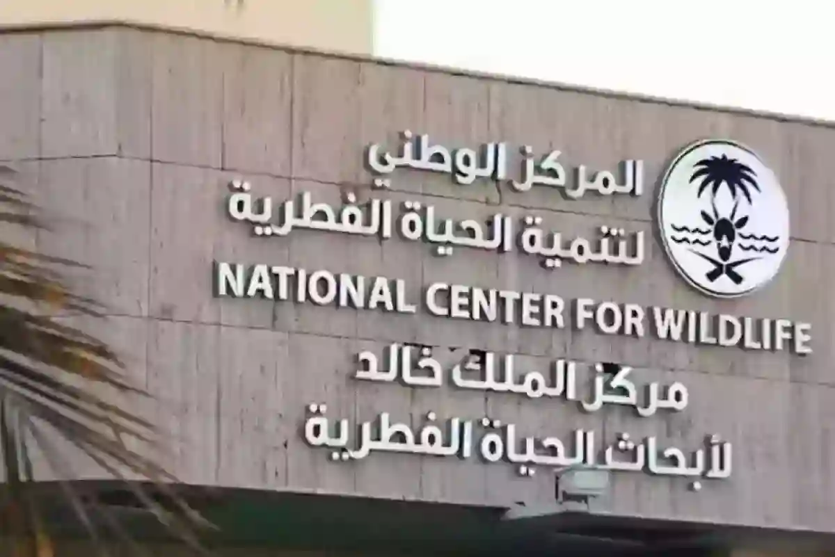 البيئة البحرية