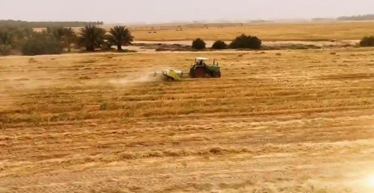التنمية الريفية المستدامة