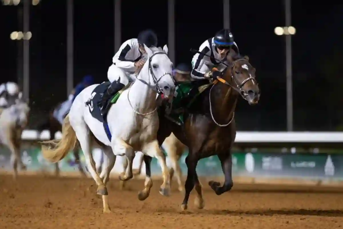 سباقات الخيل