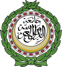 أبو الغيط يدعو لتجنب التصعيد في حضرموت والمهرة ويؤكد التمسك بوحدة اليمن