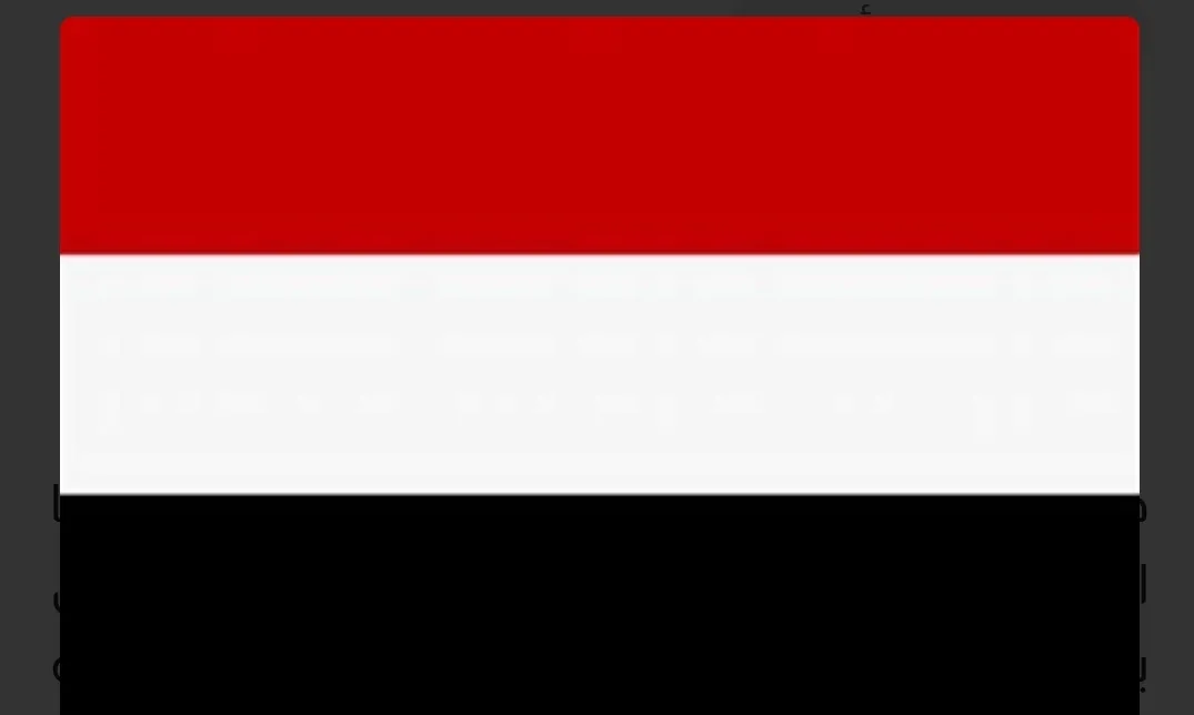 الحكومة اليمنية تتهم إيران بدفع الحوثيين لتوريط البلاد في صراعاتها الإقليمية