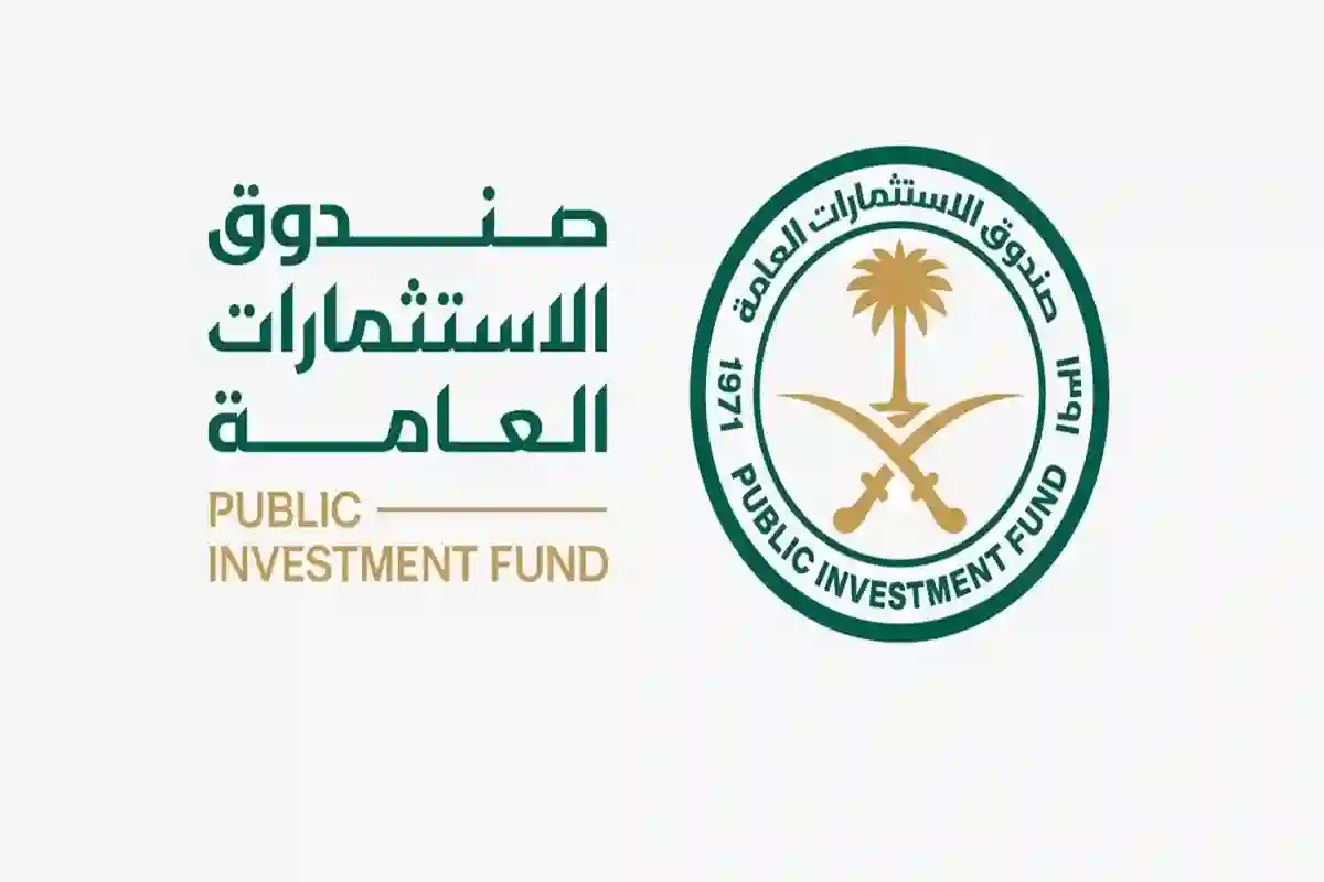 استثمارات عامة