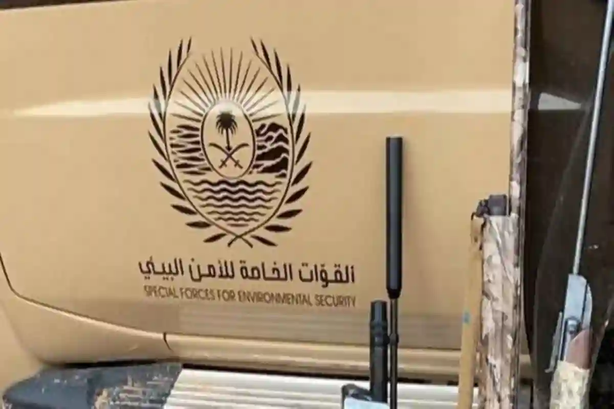 مخالفات بيئية