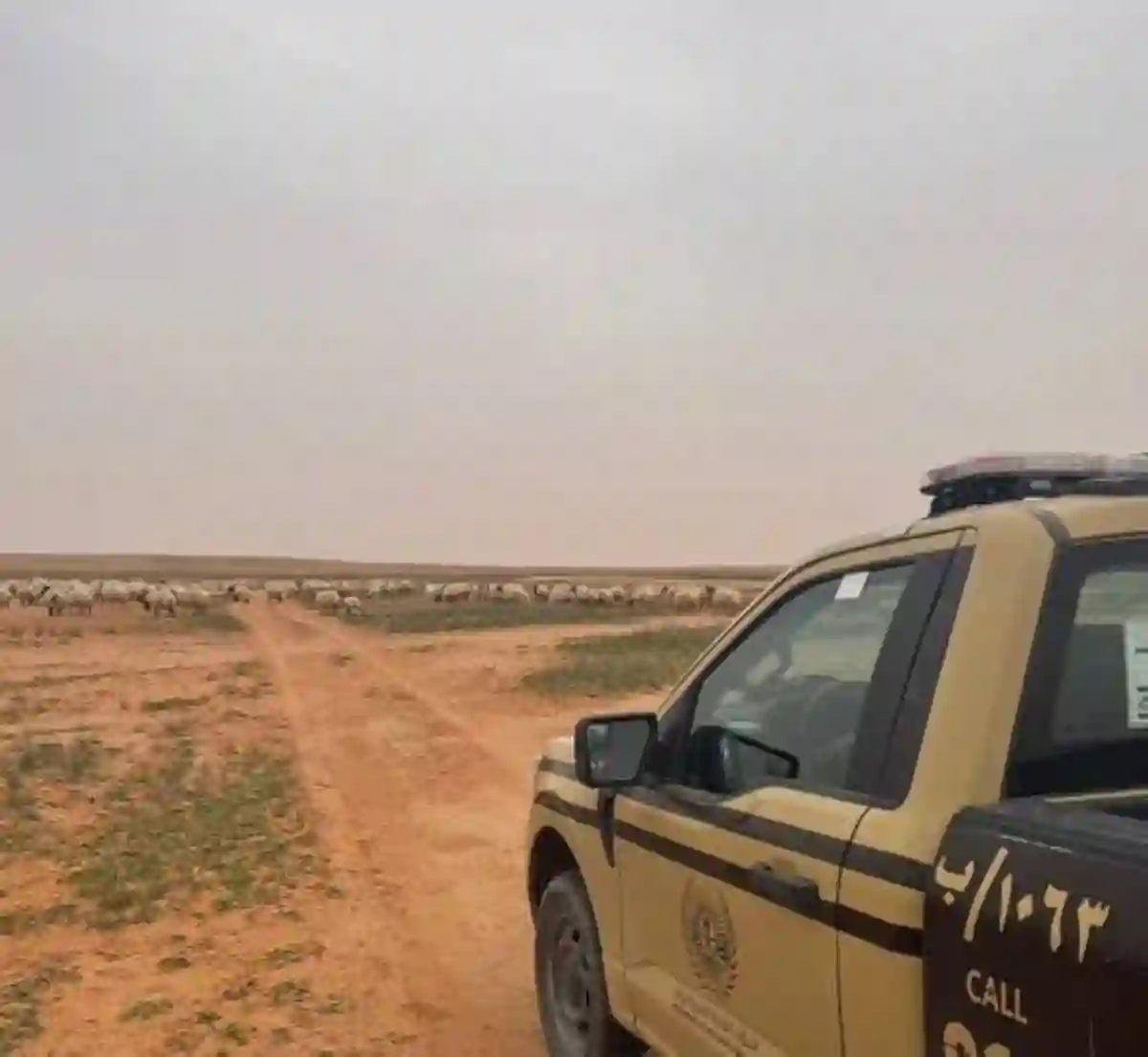 محمية الملك عبدالعزيز