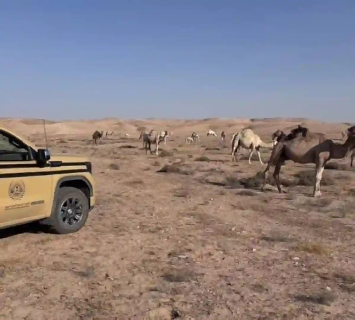 مخالفة الصيد