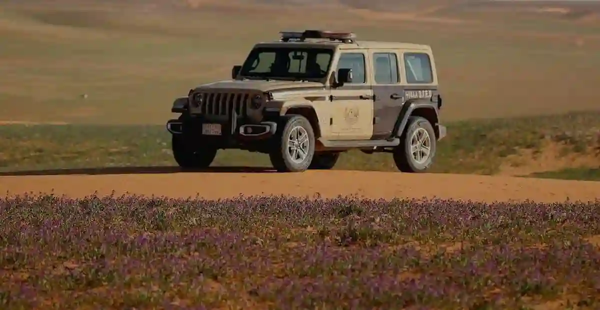 الصيد دون ترخيص